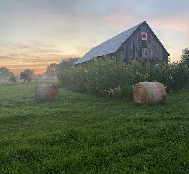 Thunder Gardens farm barn