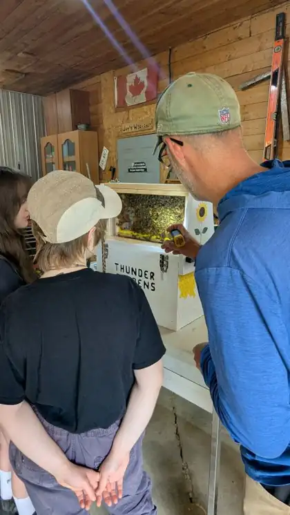 Jay showing young visitors an observation beehive at Thunder Gardens